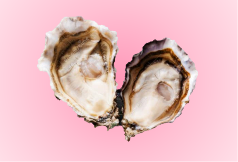 Sweetheart Premium Pacific Oysters Sea Farmers Ubin Buy Fresh