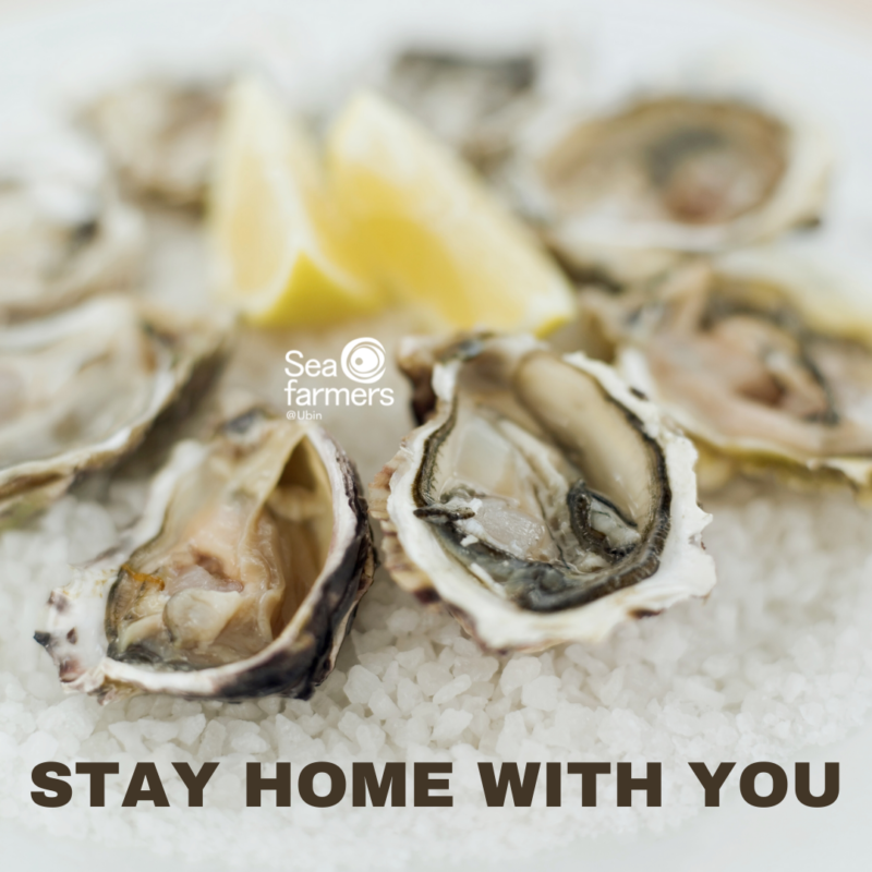 stay home promo oysters