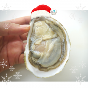 Oysters years end sales 21
