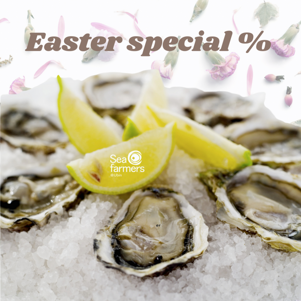 Sea Farmers Ubin Buy Fresh Live Oysters Online Get FRESH oysters