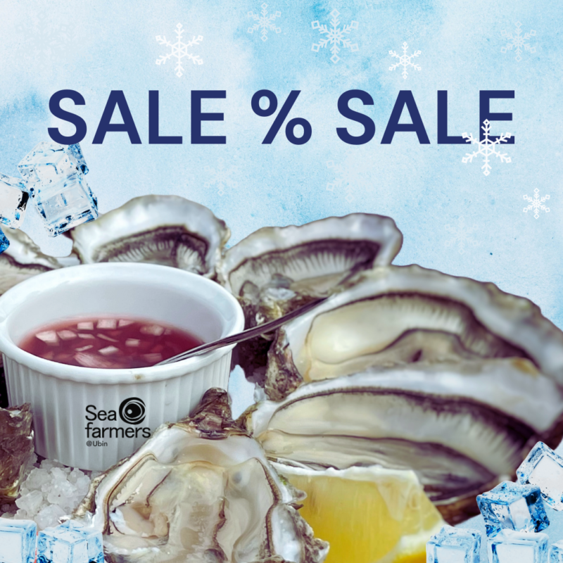oysters party sale